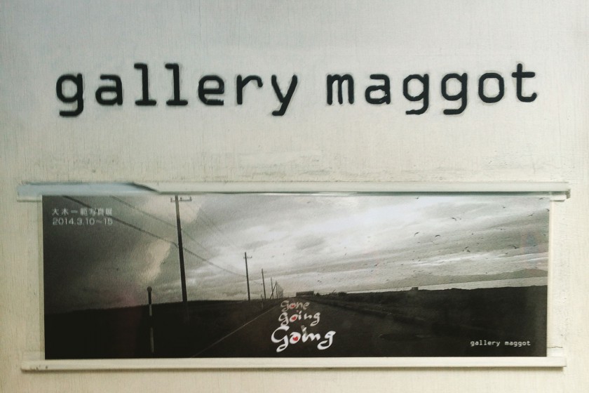 gallery maggot