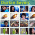 Durian Seven