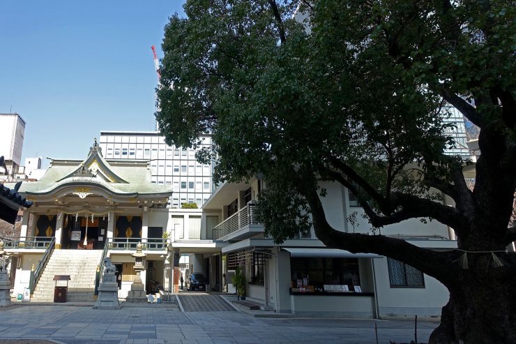 難波神社 - 本社と楠
