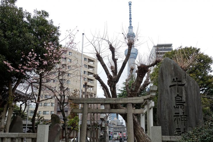 牛島神社 - 西の鳥居