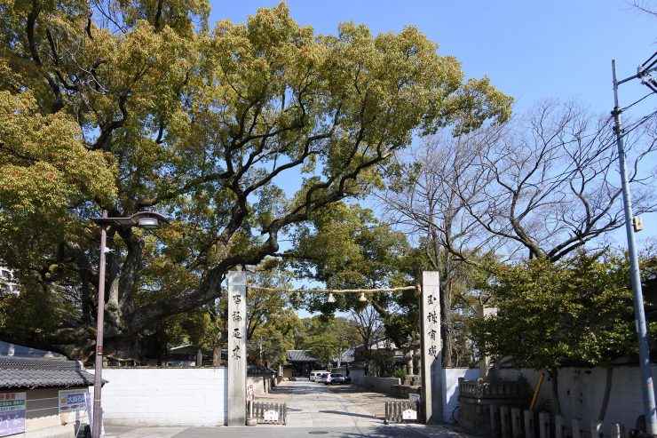 杭全神社 - 大門前参道